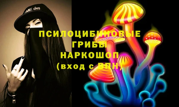 экстази Арсеньев