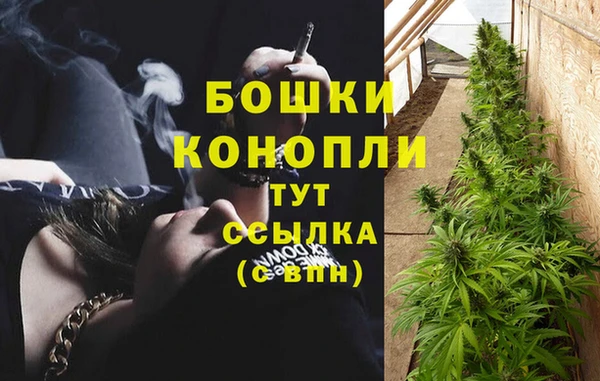 мет Аркадак