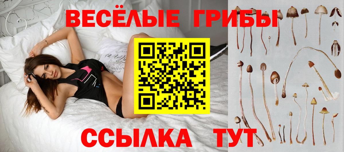 Сухой Лог  где продают наркотики  Вход с VPN  Псилоцибиновые грибы MAGIC MUSHROOMS 
